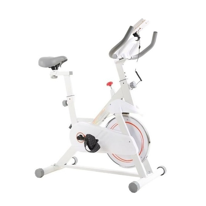 Sepeda Spinning Profesional Ba - Home Gym Layout ulasan dan harga